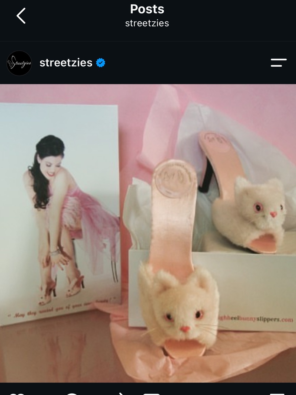 streetzies Pink Plush Cat heels (in search of)